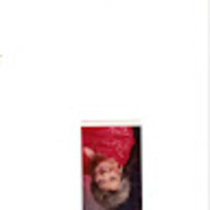 Meet your Posher, Wavaline